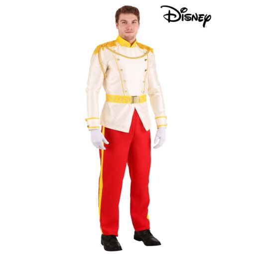 Cinderella Disney Prince Halloween Costume