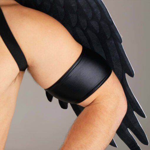 Sexy Dark Angel Mens Halloween Costume