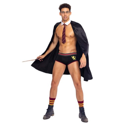 Sexy Harry Potter Men's Halloween Costume